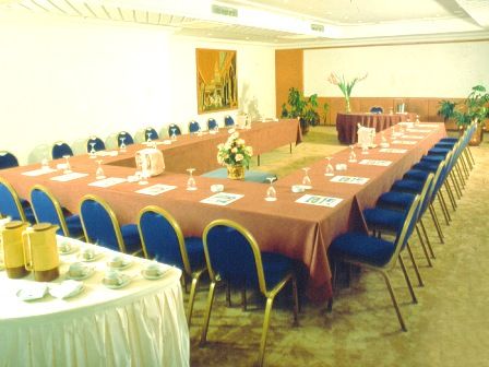 conférence séminaire mariage congrès  festival soirée scène 